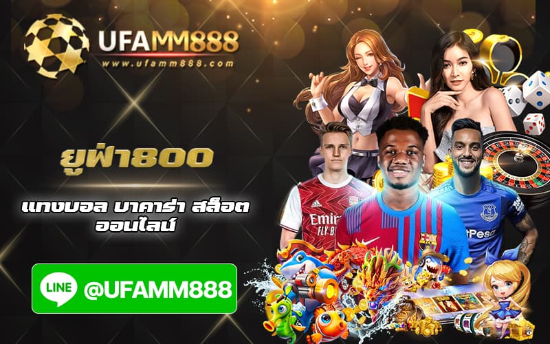 ยูฟ่า 800 cover