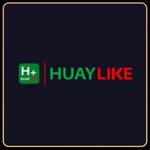 huaylike logo